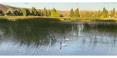 Baños públicos en Cisnes