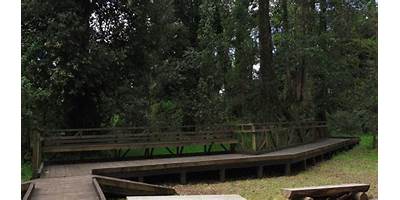 Baños públicos en El Bosque
