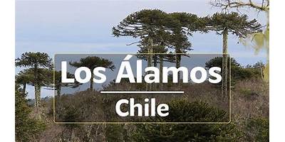 Baños públicos en Los Álamos