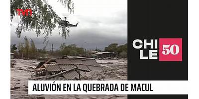 Macul