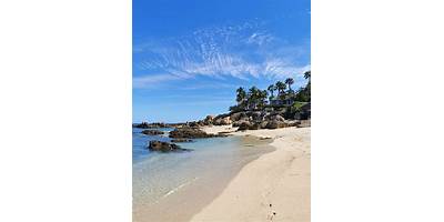 Palmilla