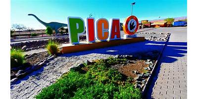 Pica